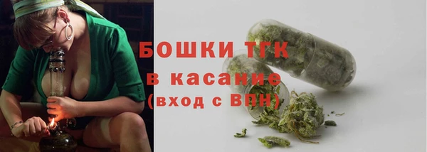 трава Слюдянка