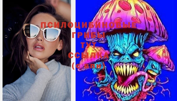 гашиш Сосновый Бор